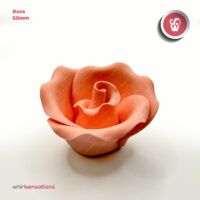 rosas-grandes-50mm-rosa-whirlsensations (002)